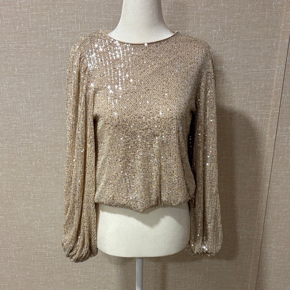 Anthropologie Flat White Champagne Sequin Long-Sleeve Blouson Top